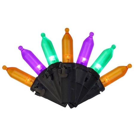 Celebrations LIGHT T5 HLWN MLTI 24.75ft T5100HW3A